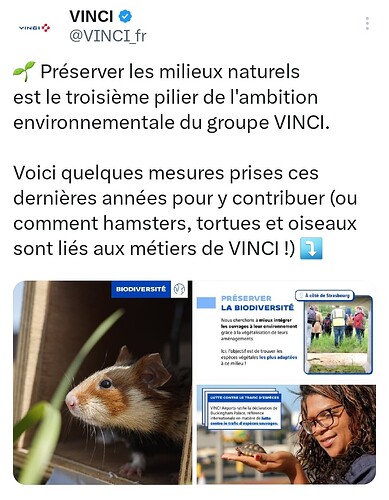 SmartSelect_20230627_211339_Twitter