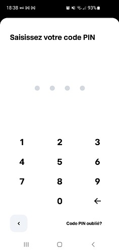 Screenshot_20250204-183816_TradeRepublic