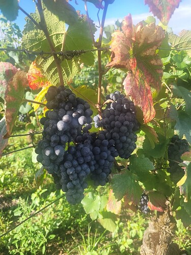 Resized_20250903_094433