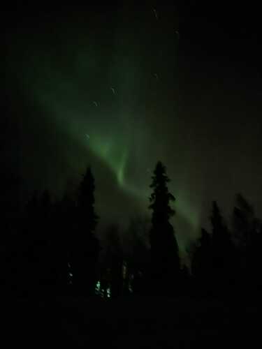 IMG-20240116-WA0009