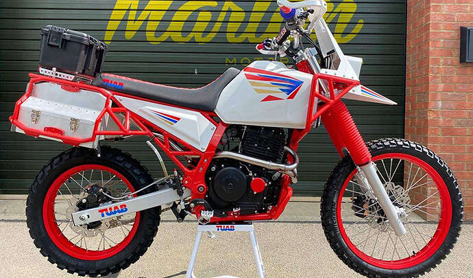 portadas-alejandra-1