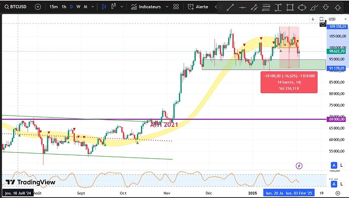 ScreenShot_20250203211344