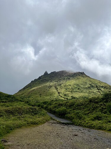 IMG_4966