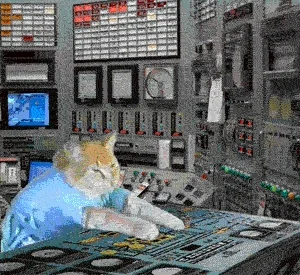 Working Cat Music GIF