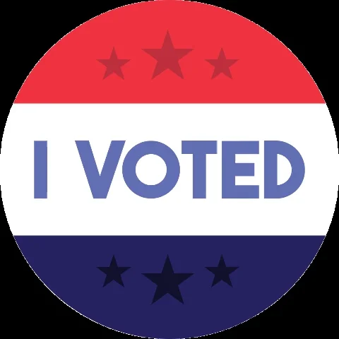 Vote Now Election 2020 GIF by Lasell Votes