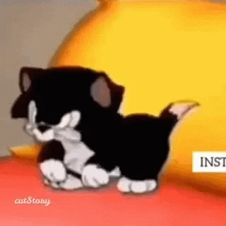 Angry Cat GIF by memecandy