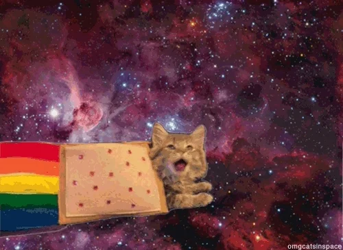 space cat GIF