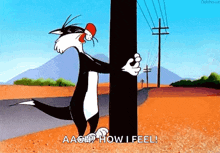 fml-sylvester